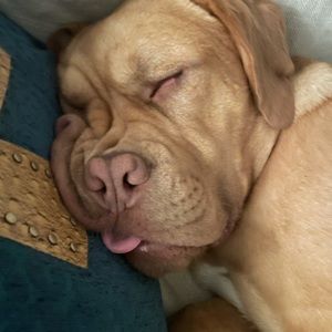 Meet your Posher, Mya